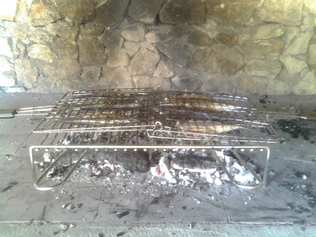 Rora Rogoznica (Sibenik-Knin)