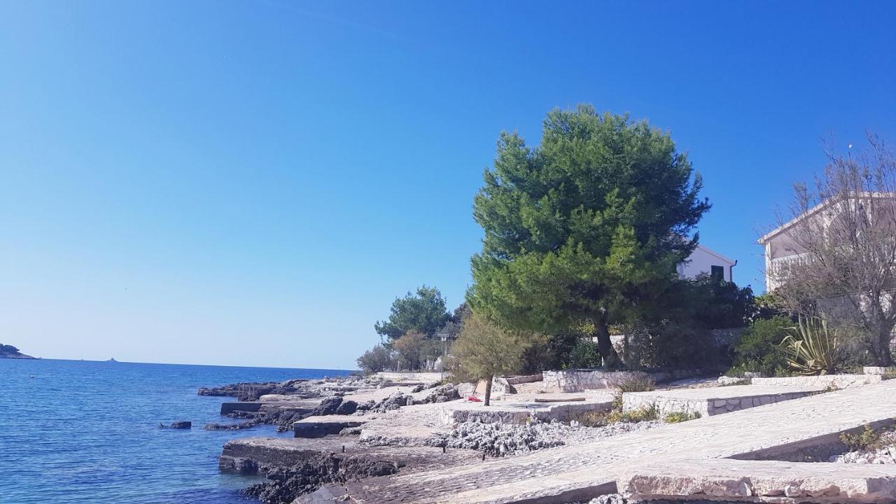 Rora Rogoznica (Sibenik-Knin)